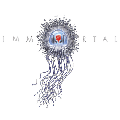 Immortal Estate