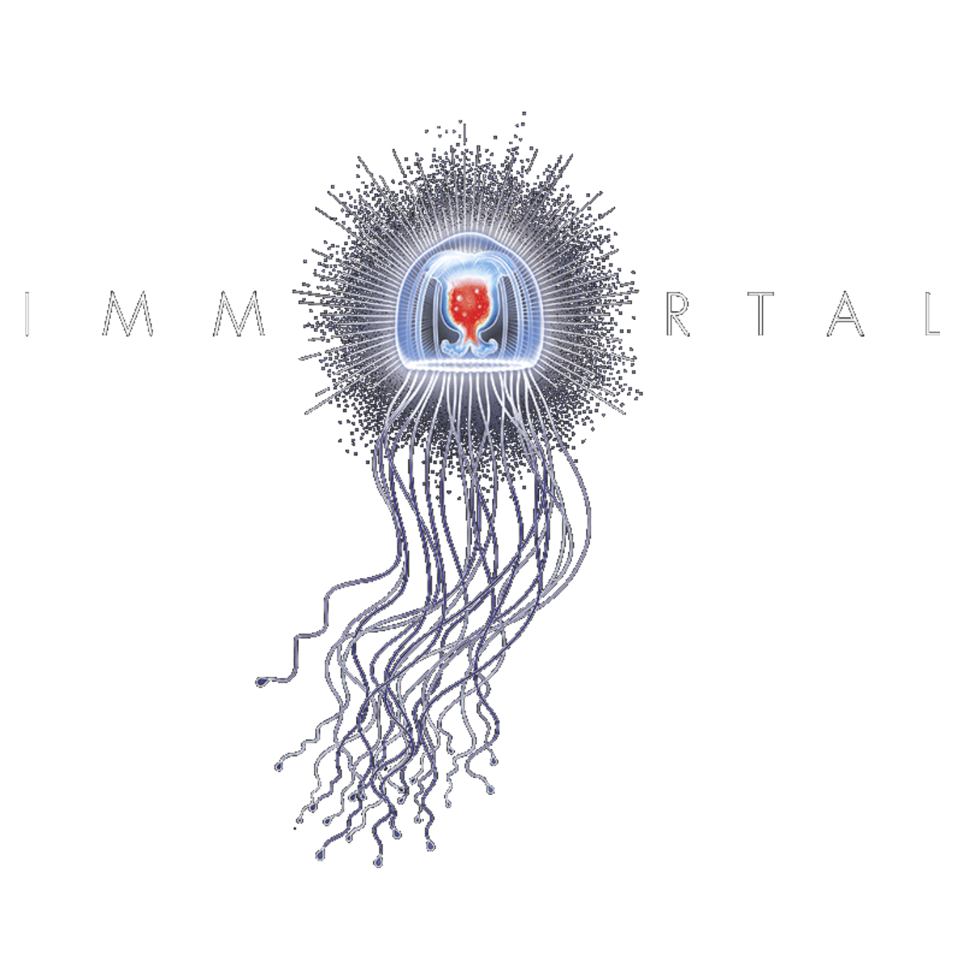 Immortal Estate