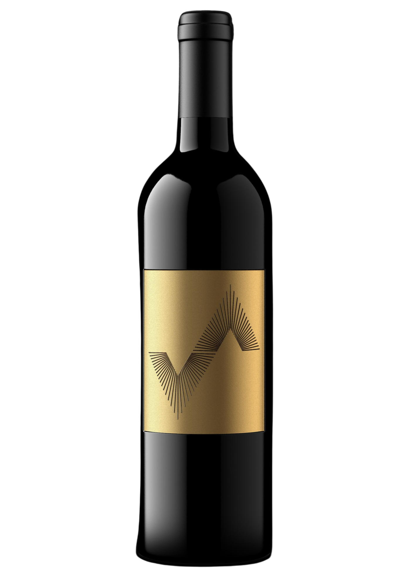 Vida Valiente | Estate Cabernet Sauvignon - 2021